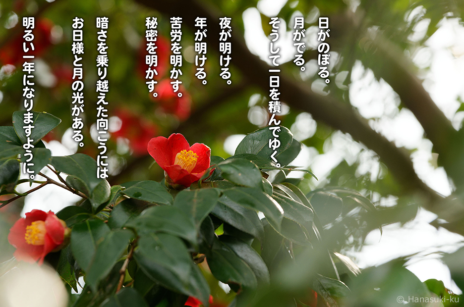 今月のフォトメッセージ